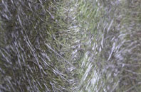 Asselby fibreglass roof work